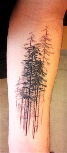 Fir tattoo