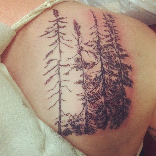 Great trees tattoo