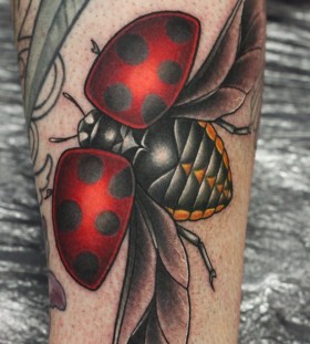 Ladybird tattoo by Michelle Maddison