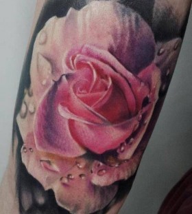 Realisti pink rose tattoo