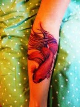 Red fish tattoo