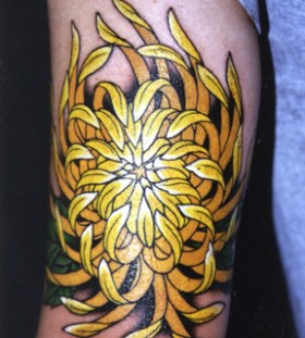 Yellow Chrysanthemum Tattoo On Back Of Arm