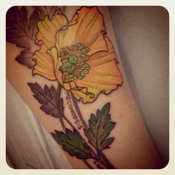 Yellow lovely tattoo