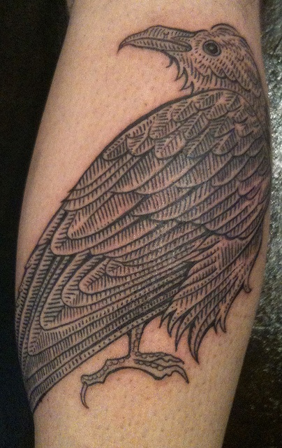 duke riley tattoo bird