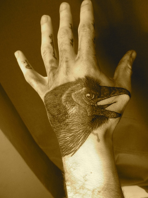 liam sparkes tattoo crow on hand