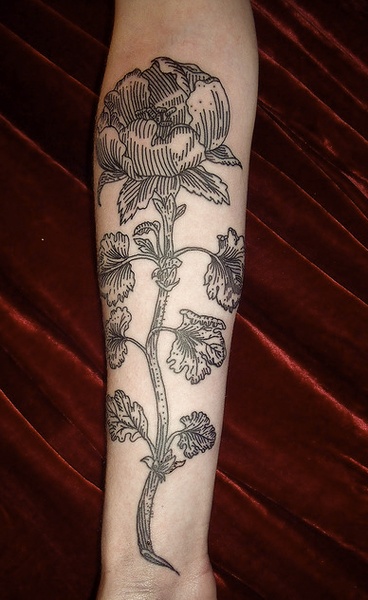 liam sparkes tattoo flower on arm