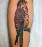 Colorful bird tattoo by Josh Stephens