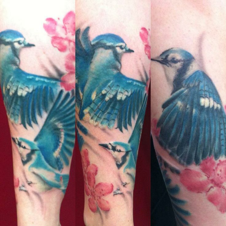 Amaizing blue bird tattoo by Mel Wink