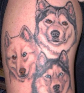 Cutest dog tattoo