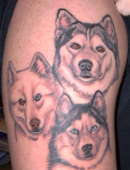 Cutest dog tattoo