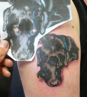 Lonely dog tattoo