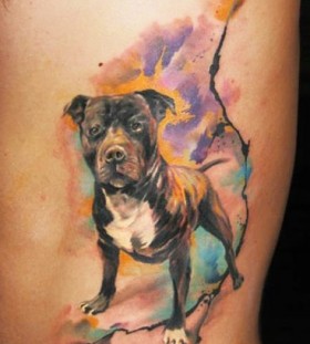bright color animal tattoos cool dog