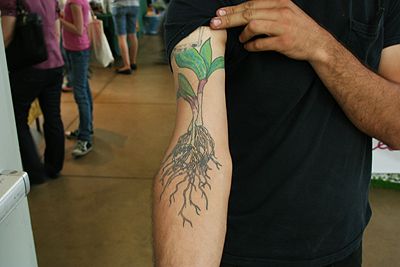 Amaizing plant tattoo