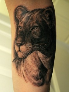 Amazing tattoo of lion