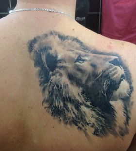 Awesome lion tattoo on the back