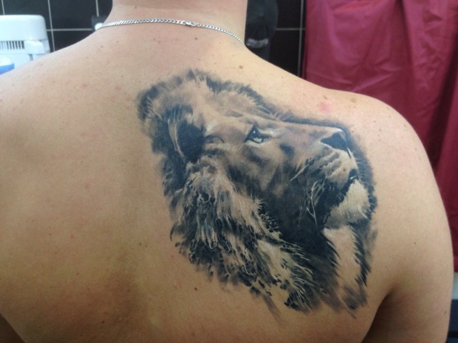 Awesome lion tattoo on the back