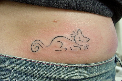 Beautiful Cattoo