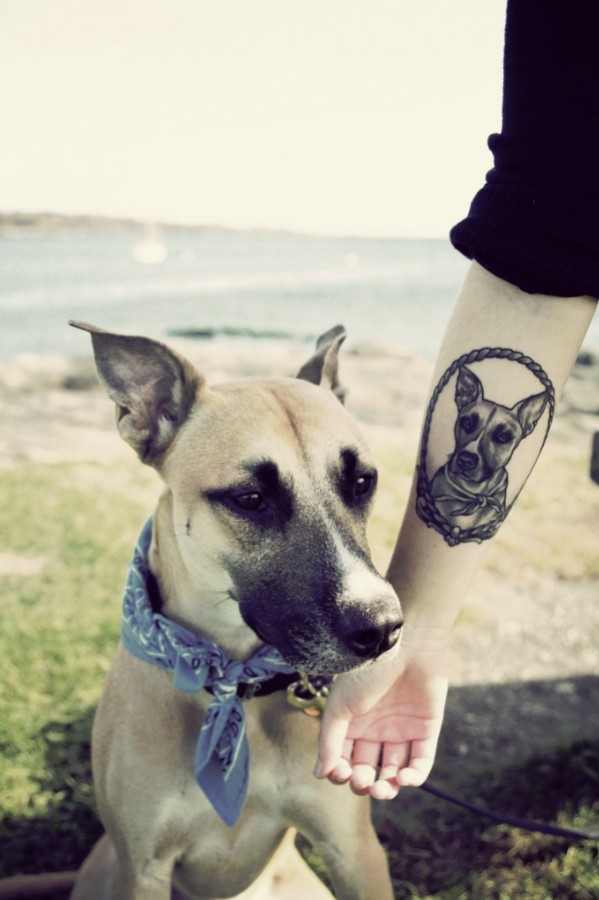 Beautiful dog tatto on the hand