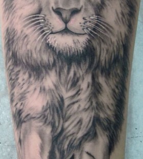 Black and white lion tattoo