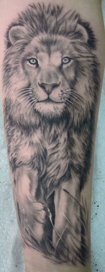 Black and white lion tattoo