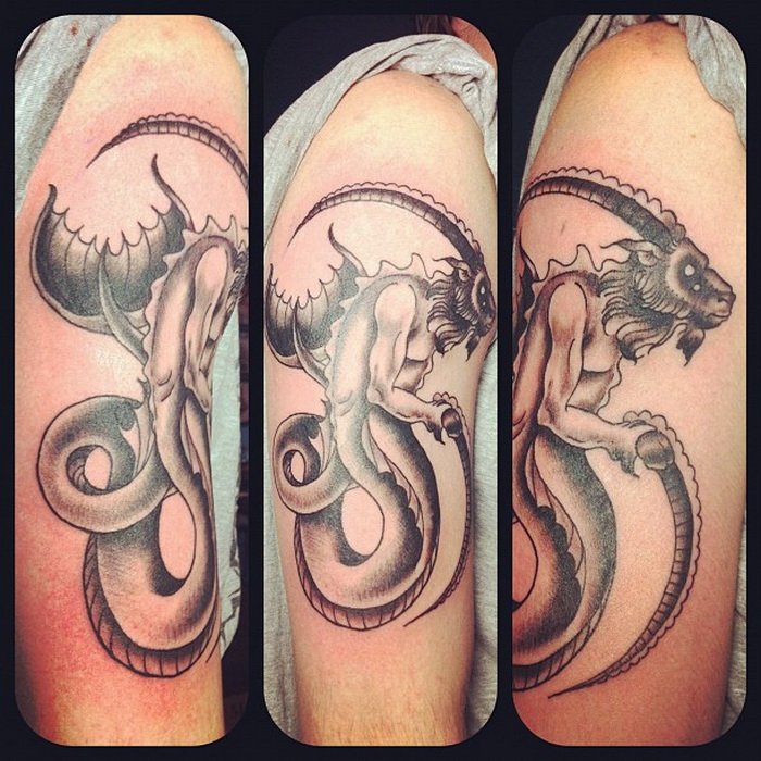 Capricorn triptic