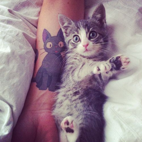 Cute cat tattoo