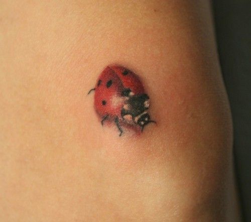 Cute ladybird bug tattoo