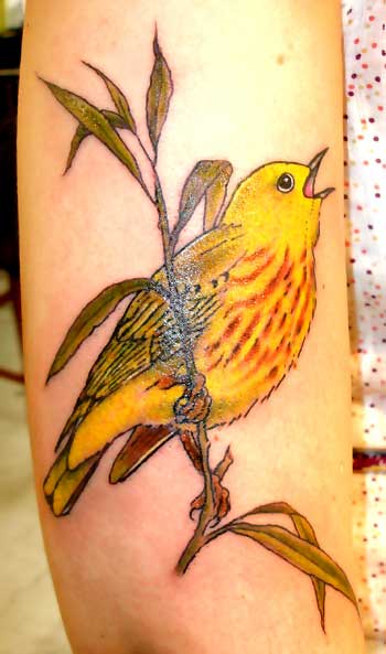 Cute-yellow-bird-tattoo