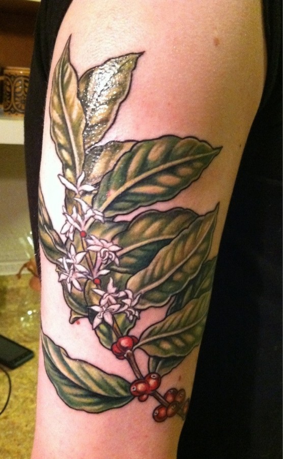 Green plant tattoo