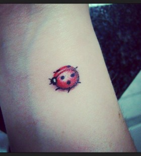 Ladybird bug tattoo