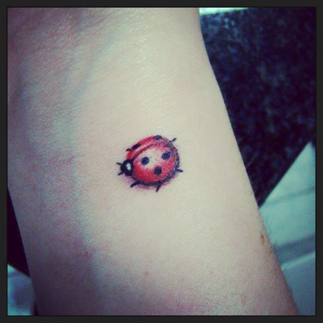 Ladybird bug tattoo