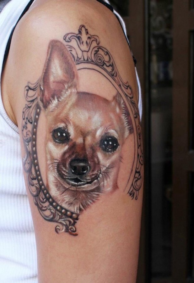 Nice dog portret on the hand