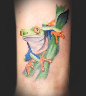 Pretty frog tattoo