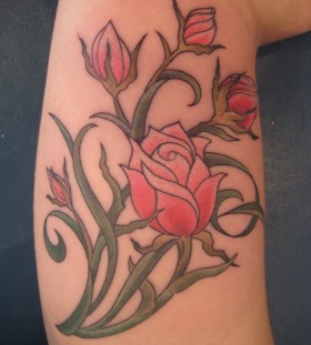 Red roses looks amazing on body