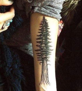 Redwood tree black tattoo