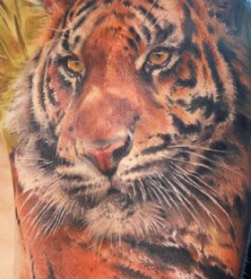 Tiger tattoo by Mikky Volkova