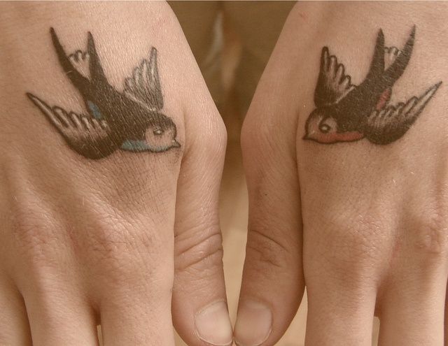 Wonderful birds on hands