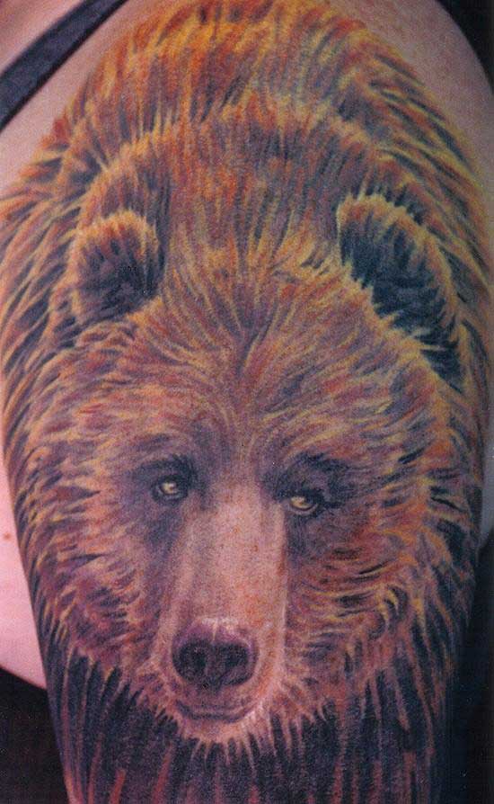 cute colorful bear