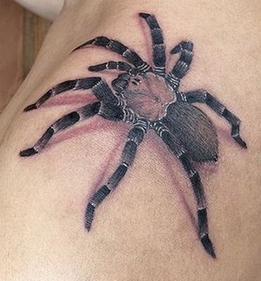 fantastic arachnids