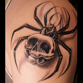 skull arachnids