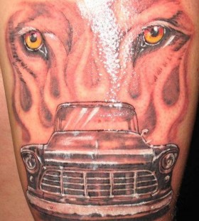 tiger head and car