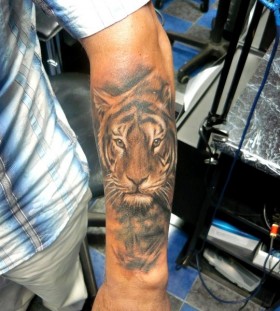 Amaizing tiger tattoo by Adam Kremer