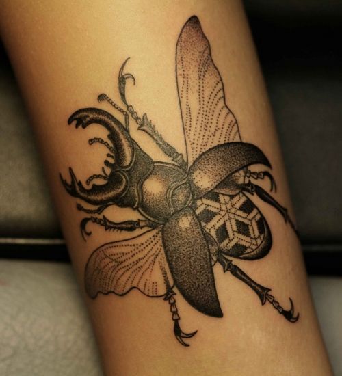 Coolinsect tattoo