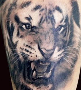 Lion tattoo by Adam Kremer