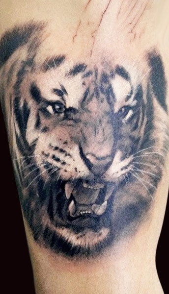 Lion tattoo by Adam Kremer