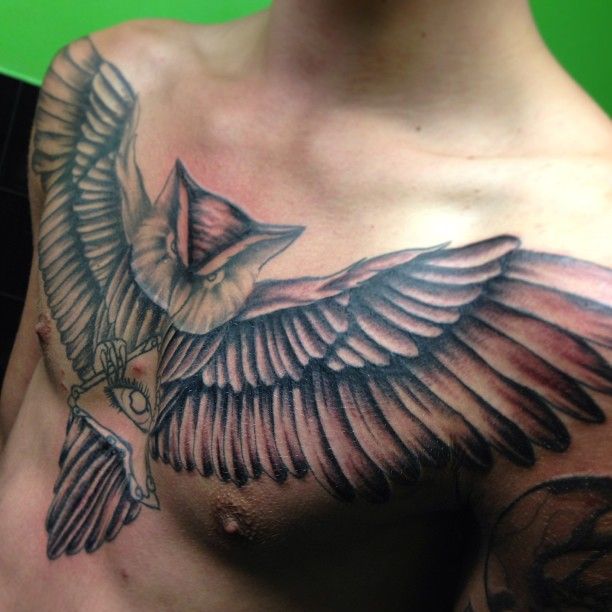 Men’s chest owl tattoo