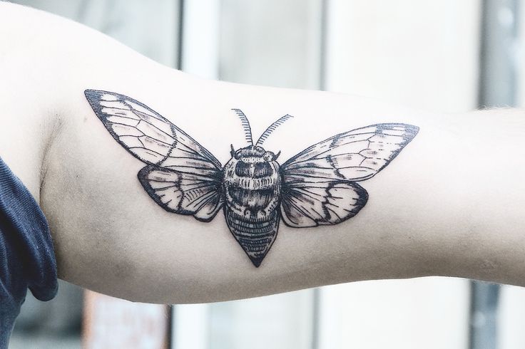 Pretty black insect tattoo