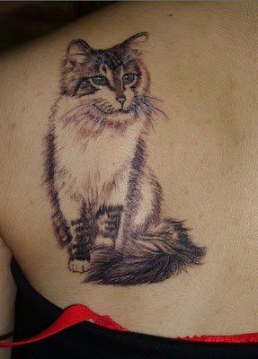 Adorable simple cat tattoo on arm