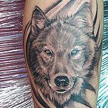 Amazing black wolf tattoo on arm