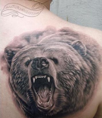 Angry black bear tattoo on shoulder